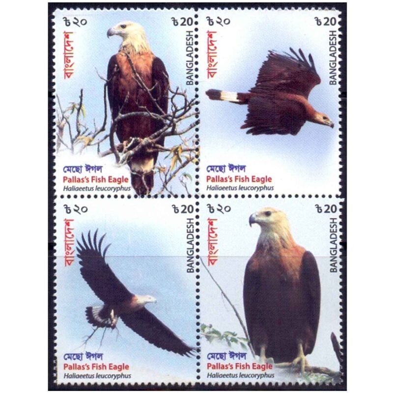 2018 Bangladesh Pallas Fish Eagle (Birds) 4v Stamp