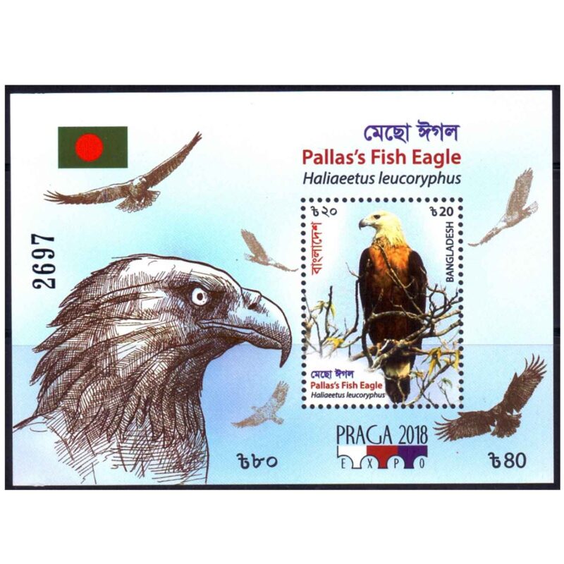 2018 Bangladesh Pallas Fish Eagle (Birds) with Praga Expo Logo Miniature Sheet (Imperf)