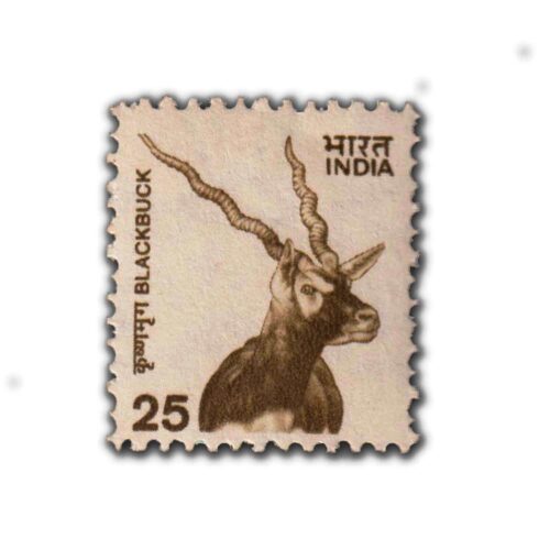 2000 Blackbuck 25p (9th Series) (wmk. Ashokan) Definitive Stamp