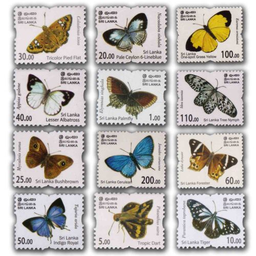 2022 Endemic Butterflies of Sri Lanka 12v Stamp