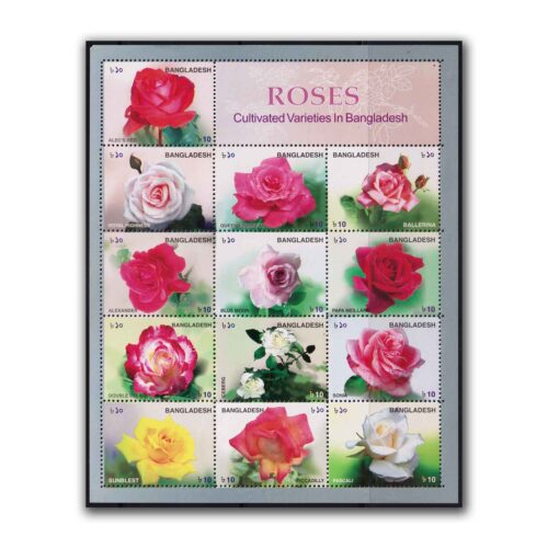 2010 Roses Cultivated Varieties in Bangladesh 13v Stamp