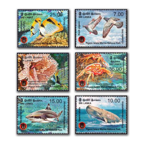 2014 Sri Lanka Pigeon Island Marine National Park 6v Stamp