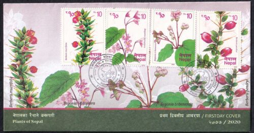 2020 Plants of Nepal 4v Stamp on FDC