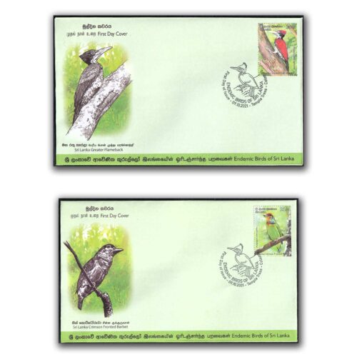 2021 Endemic Birds of Sri Lanka 6v Stamp on 6 FDCs