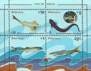 1993 Fish Miniature Sheet