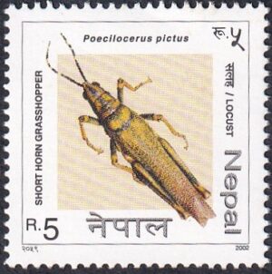 2002 Insects Stamp