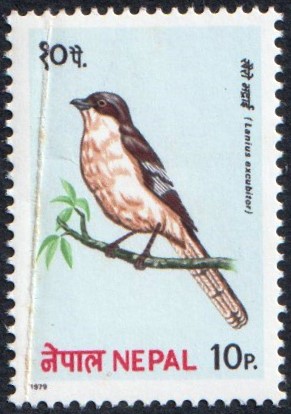 1979 Congress of the International Association of Pheasant Breeders, Kathmandu - Birds Stamp