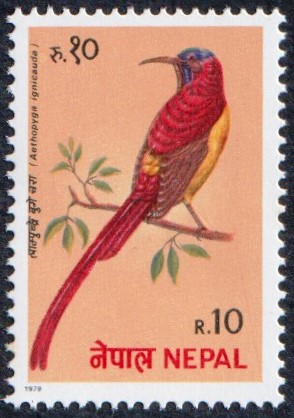 1979 Congress of the International Association of Pheasant Breeders, Kathmandu - Birds Stamp