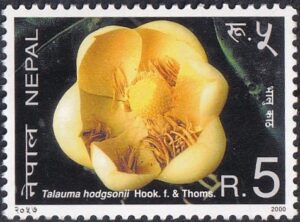 2000 Flowers Stamp