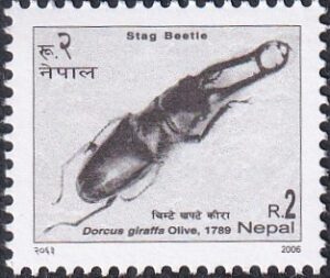 2006 Insects - Stag Beetle Stamp