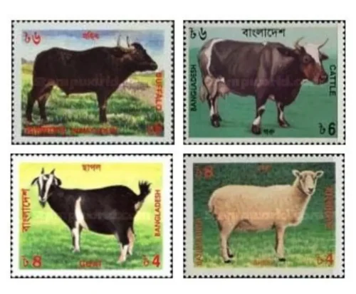 1997 Livestock of Bangladesh 4v Stamp