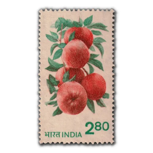 1979 Apples 2r80p (6th Series) (wmk. Ashokan) Definitive Stamp