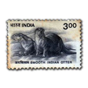2002 Smooth Indian Otter 3r (9th Series) (wmk. Ashokan) Definitive Stamp