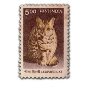 2000 Leopard Cat 5r (9th Series) (wmk. Ashokan) Definitive Stamp