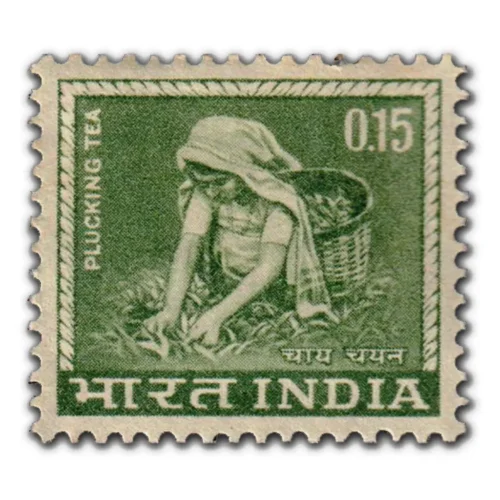 1965 Tea Plucking 15p (4th Series) (wmk. Ashokan Lion Capital) Definitive Stamp