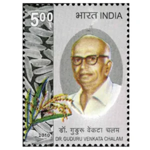 2010 Dr Guduru Venkata Chalam 1v Stamp