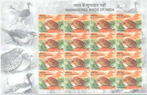 2006 Endangered Birds of India (Manipur Bush- Quail) 1v Stamp Sheetlet
