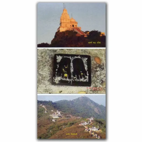 2016 Kolkata Jain Dhawja Yatra Set of 6 Picture Postcards