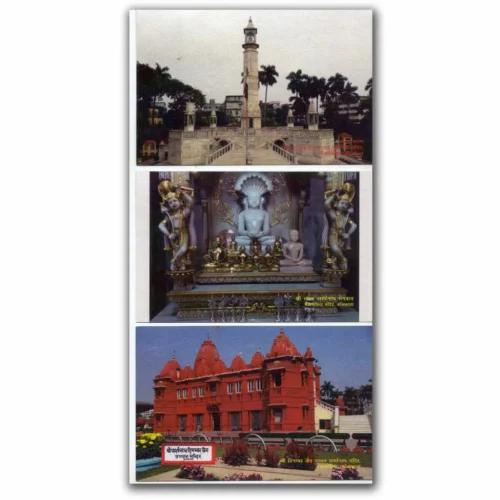 2016 Kolkata Jain Dhawja Yatra Set of 6 Picture Postcards - Image 2