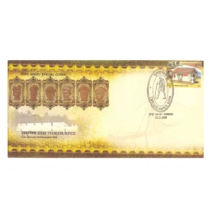 2008 Thrissurpex Gandhi in Cancellation Special Cover