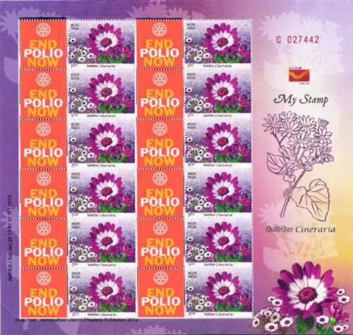 2012 India Cineraria 1v My Stamp