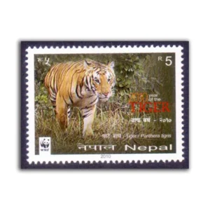 2010 Nepal Year of the Tiger,Panthera Tigris 1v Stamp