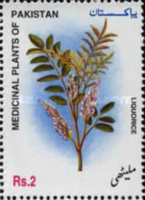 2000 Medicinal Plants of Pakistan - Liquorice (Mulathi) 1v Stamp