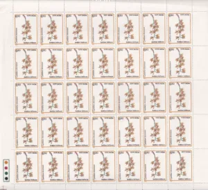 1991 Orchids of India (Cymbidium Devonianum) 1v Mint Sheet of 35 Stamps