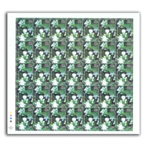 2008 Jasmine Flowers and Auriculatum Vahl. with Fragnance of Jasmine 2v Mint Sheet of 35 Stamps