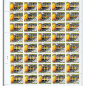 2008 Discovery of the Evershed Effect, Mint Sheet of 40 Stamps