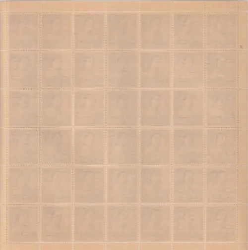 1962 Birth Centenary of Madam Bhikaiji Cama (Bhikaji Cama)  Mint Sheet of 42 Stamps - Image 2