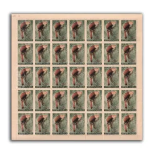 1963 Wild Life Preservation (Ailurus Fulguns Himalyan Lesser Panda) 1v Mint Sheet of 35 Stamps