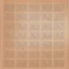 1970 Birth Centenary of Vladimir Lllyich Lenin (lenin - Leader of October Socialist Revolution) Mint Sheet of 35 Stamps