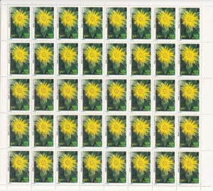 1982 Himalayan Flowers (Showy Inula) 1v Mint Sheet of 40 Stamps