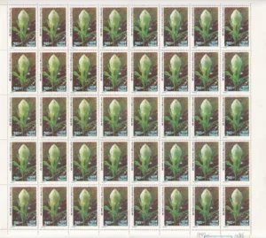1982 Himalayan Flowers (Brahma Kamal) 1v Mint Sheet of 40 Stamps
