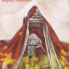 2024 Shakti Peeths Of Bihar Set of 9 Picture Postcards (Cancelled) - Image 2
