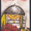 2024 Shakti Peeths Of Bihar Set of 9 Picture Postcards (Cancelled) - Image 5