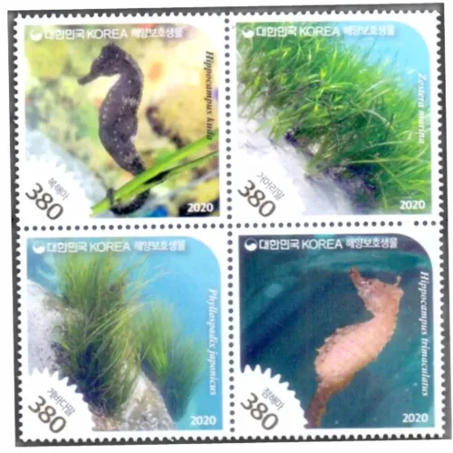 2020 South Korea Protected Marine Species (3rd) 4v Stamp