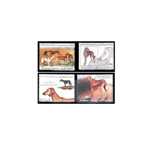 2002 Arabian Saluki - 2002 4v