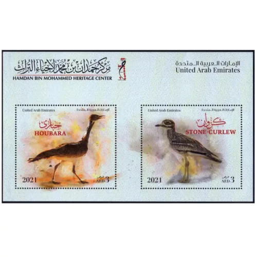 2021 Stone Curlew and Houbara 2v